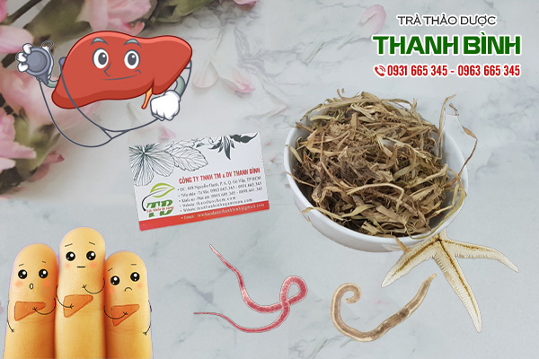 cây cỏ may tại thảo dược Thanh Bình