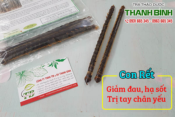 con rết thiên long thảo dược thanh bình