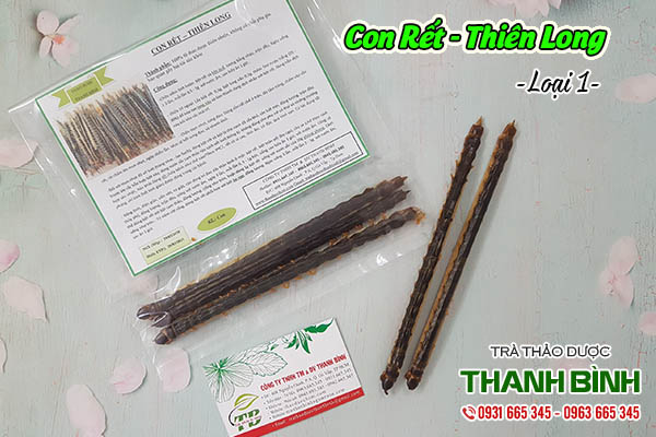 con rết thiên long thảo dược thanh bình