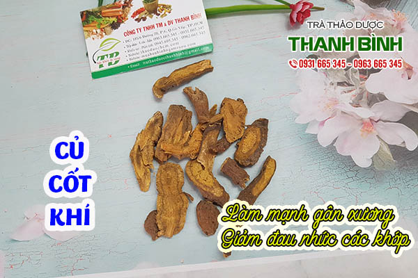 củ cốt khí thảo dược thanh bình