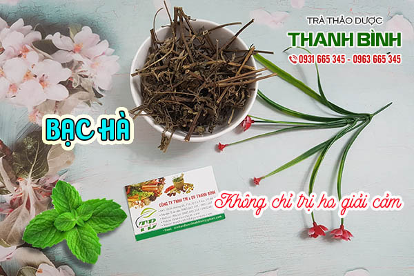 bạc hà thảo dược thanh bình