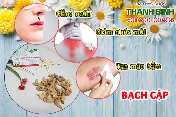 bạch cập thảo dược thanh bình