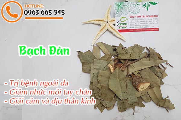 bạch đàn thảo dược thanh bình