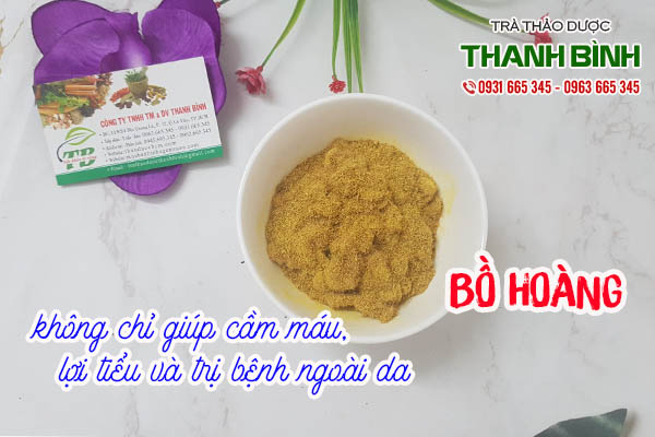 bồ hoàng thảo dược thanh bình