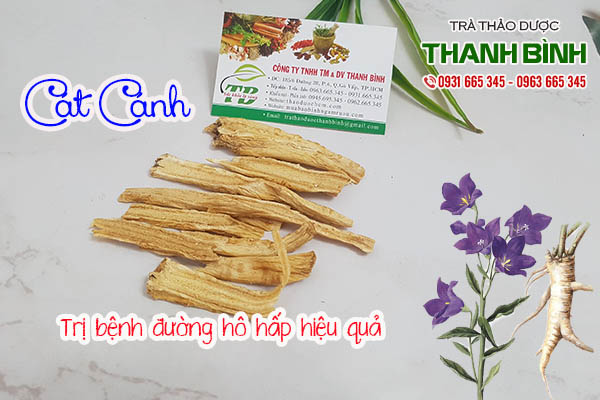 cát cánh thảo dược thanh bình