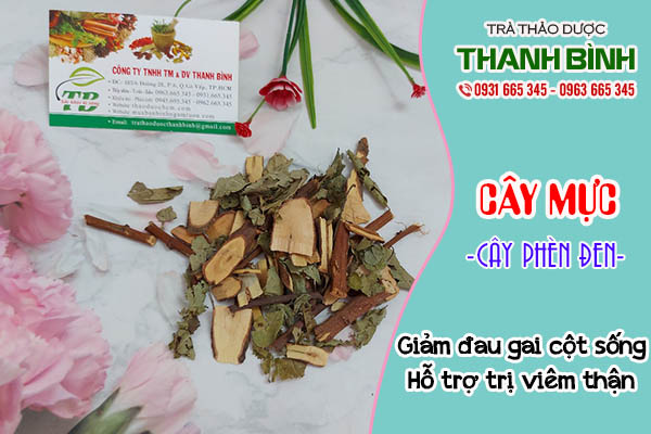 cây phèn đen thảo dược thanh bình