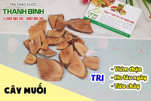 cây muối thảo dược thanh bình