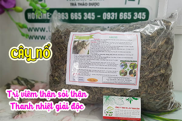 cây nổ thảo dược thanh bình