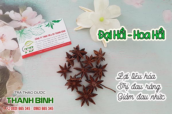 đại hồi thảo dược thanh bình