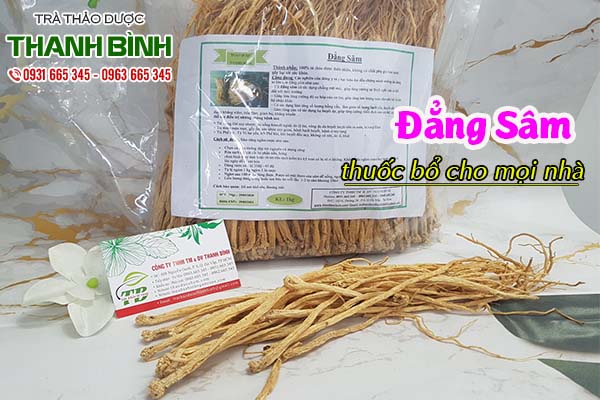 đẳng sâm thảo dược thanh bình