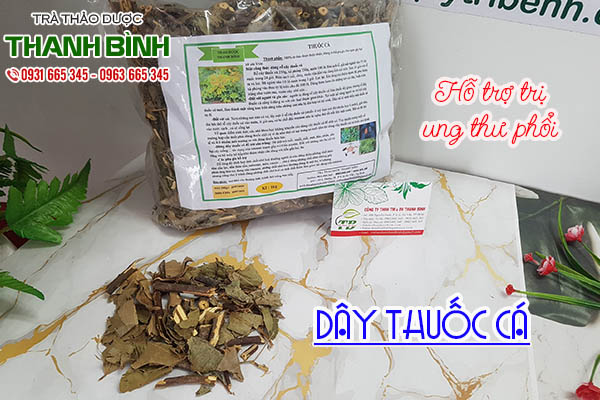 dây thuốc cá thảo dược thanh bình