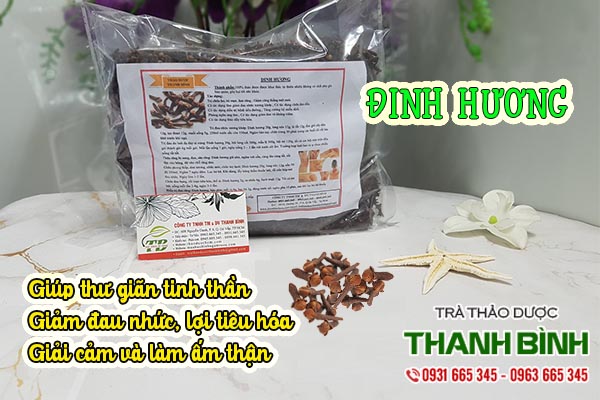 đinh hương thảo dược thanh bình