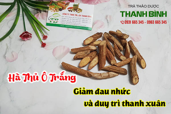 hà thủ ô trắng thảo dược thanh bình