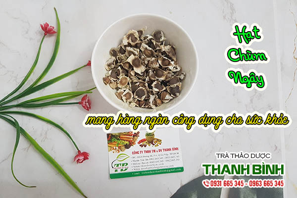 hạt chùm ngây thảo dược thanh bình