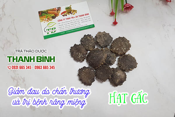 hạt gấc thảo dược thanh bình