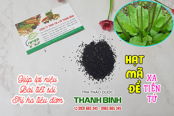 hạt mã đề thảo dược thanh bình