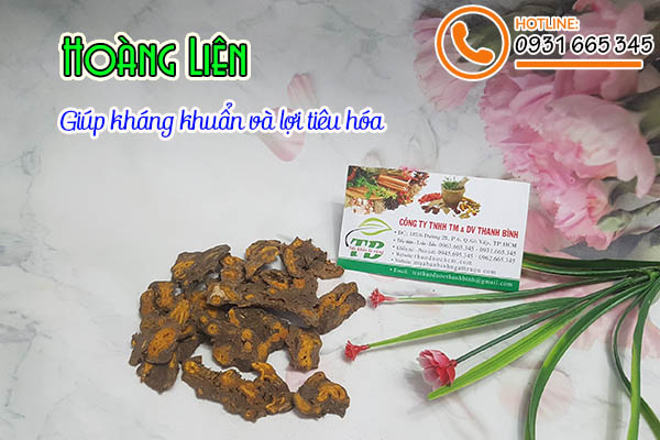 hoàng liên thảo dược thanh bình