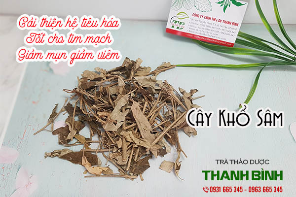 cây khổ sâm thảo dược thanh bình