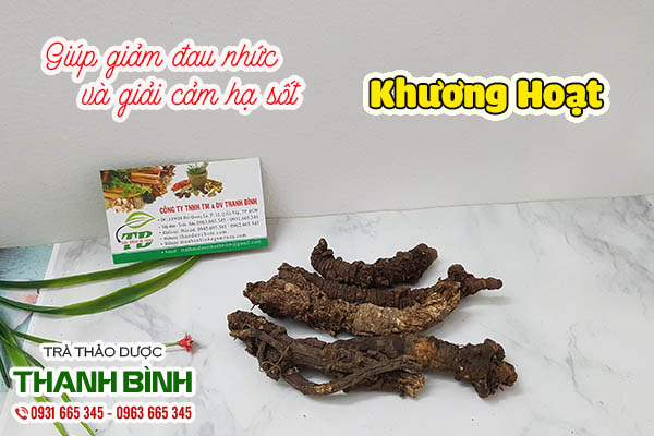 khương hoạt thảo dược thanh bình