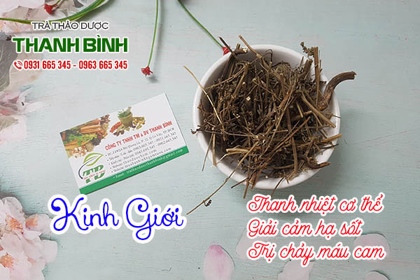 kinh giới thảo dược thanh bình