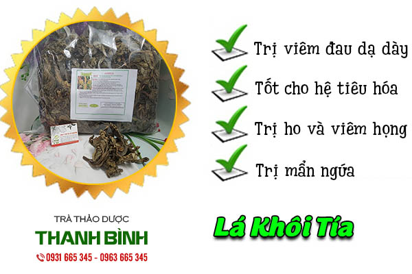 lá khôi tía thảo dược thanh bình