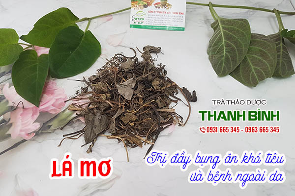 lá mơ thảo dược thanh bình