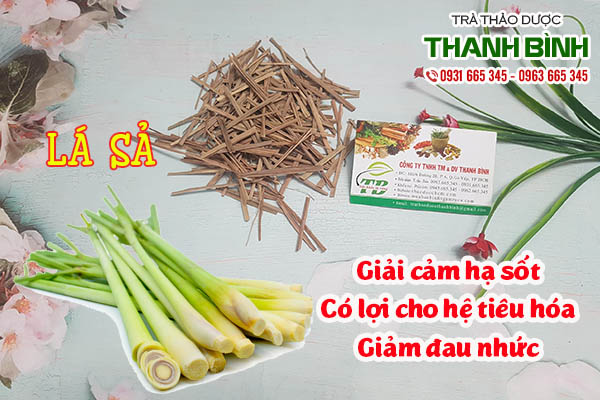 lá sả thảo dược thanh bình