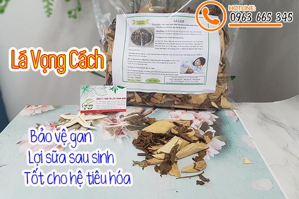 lá vọng cách thảo dược thanh bình