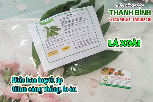 lá xoài thảo dược thanh bình