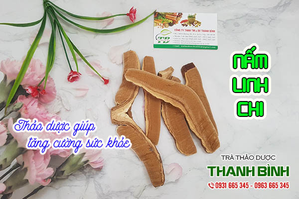 nấm linh chi thảo dược thanh bình