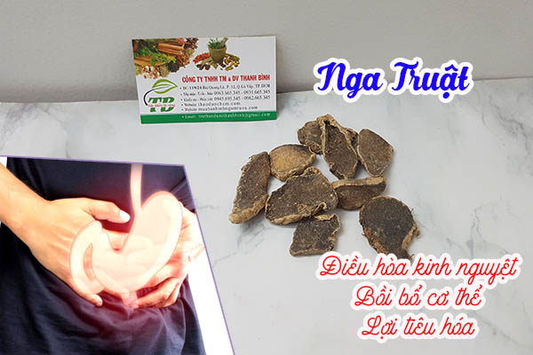 nga truật thảo dược thanh bình