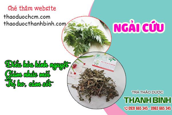 ngải cứu thảo dược thanh bình