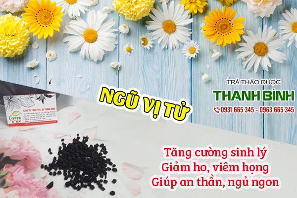 ngũ vị tử thảo dược thanh bình