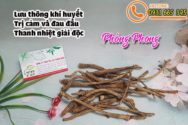 phòng phong thảo dược thanh bình