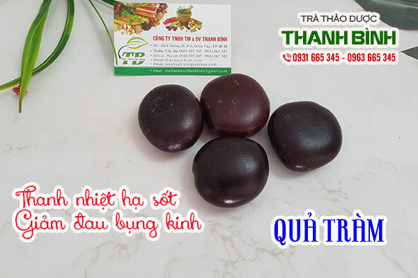 quả tràm thảo dược thanh bình