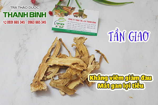 tần giao thảo dược thanh bình