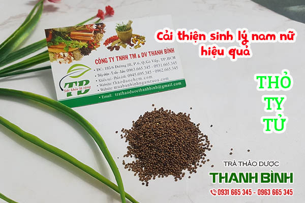 thỏ ty tử thảo dược thanh bình