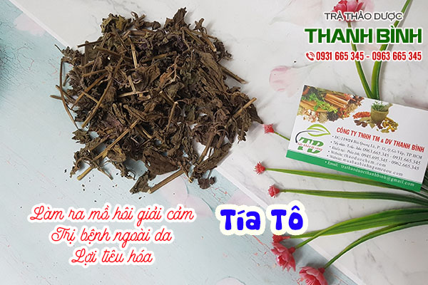 tía tô thảo dược thanh bình