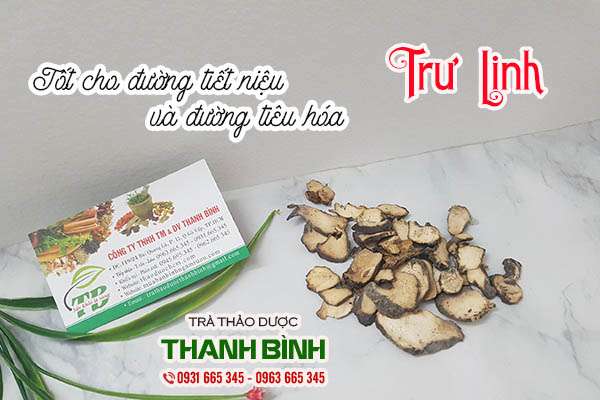 trư linh thảo dược thanh bình