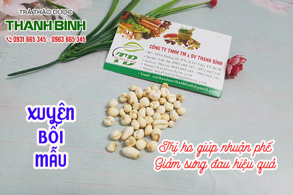 xuyên bối mẫu thảo dược thanh bình