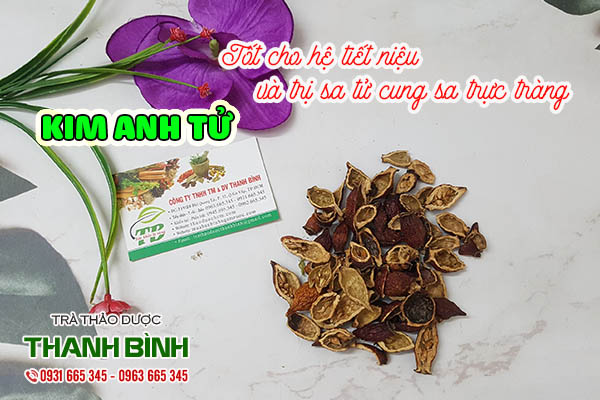 kim anh tử thảo dược thanh bình