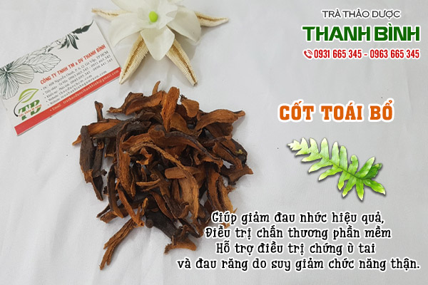 cốt toái bổ tại thảo dược Thanh Bình