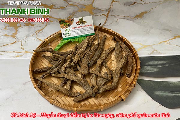 Củ bách bộ tại thảo dược Thanh Bình