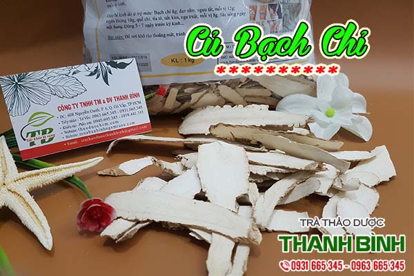 củ bạch chỉ thảo dược thanh bình