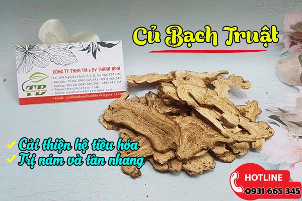 củ bạch truật thảo dươc thanh bình