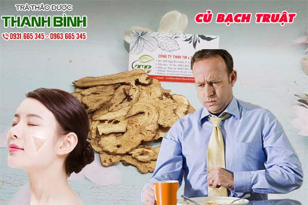 củ bạch truật tại thảo dược thanh bình