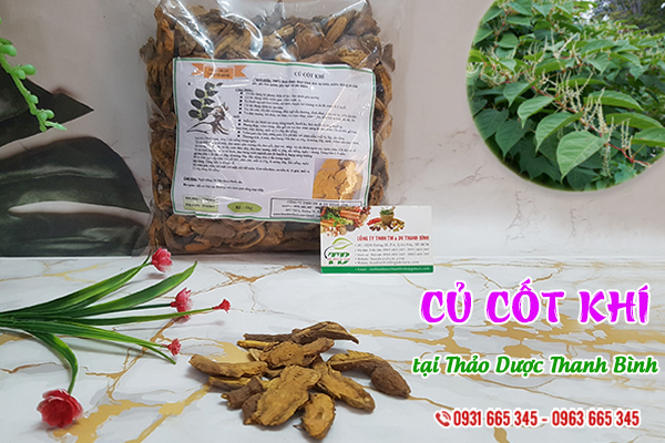 Củ cốt khí Thảo Dược Thanh Bình