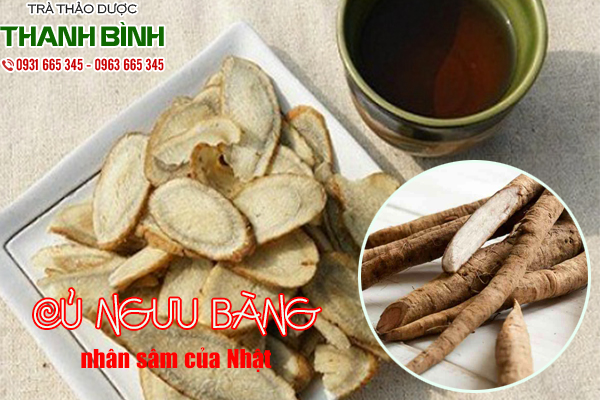 củ ngưu bàng tại thảo dược Thanh Bình