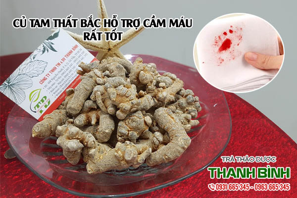 củ tam thât bắc thảo dược thanh bình