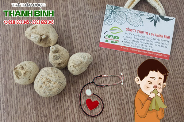 củ tam thất nam tại thảo dược Thanh Bình